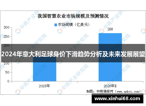 2024年意大利足球身价下滑趋势分析及未来发展展望